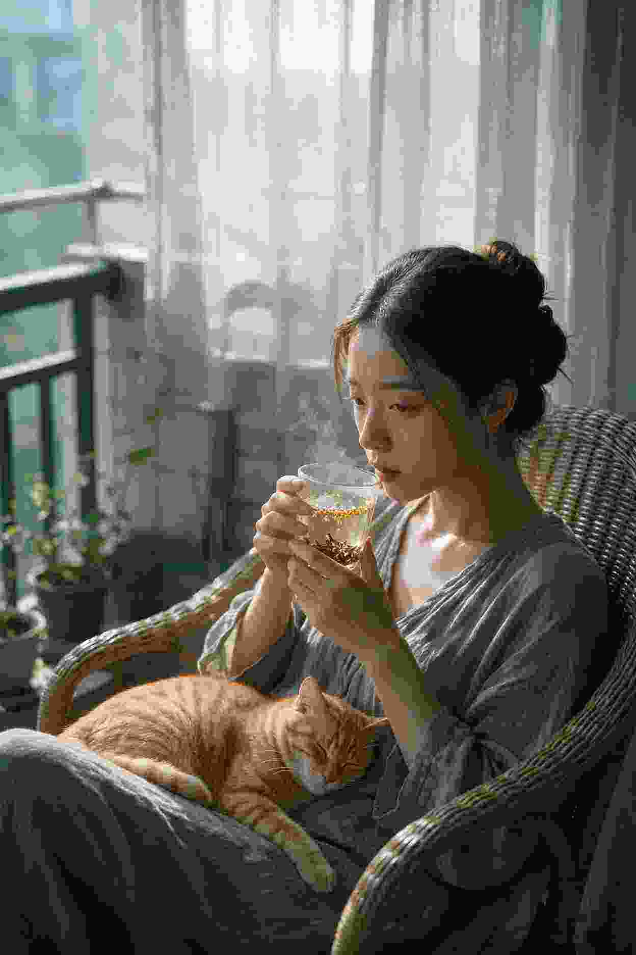 律政先锋